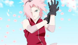 樱花动漫火影忍者,樱花绽放的忍者传奇